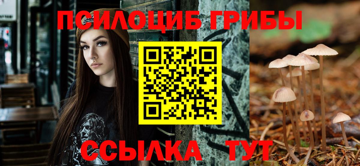 Пятигорск  Псилоцибиновые грибы Magic Shrooms  Вход с VPN  Галлюциногенные грибы GOLDEN TEACHER 