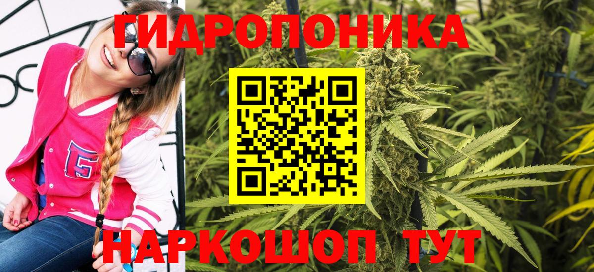 Конопля Bruce Banner Пятигорск